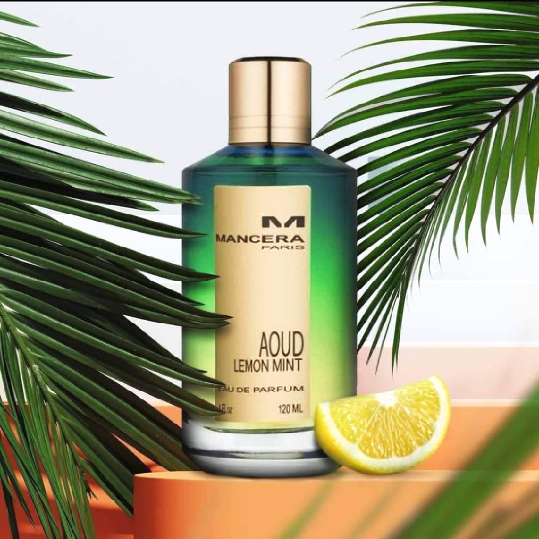 น้ำหอม MANCERA AOUD LEMON MINT EDP 120ML.