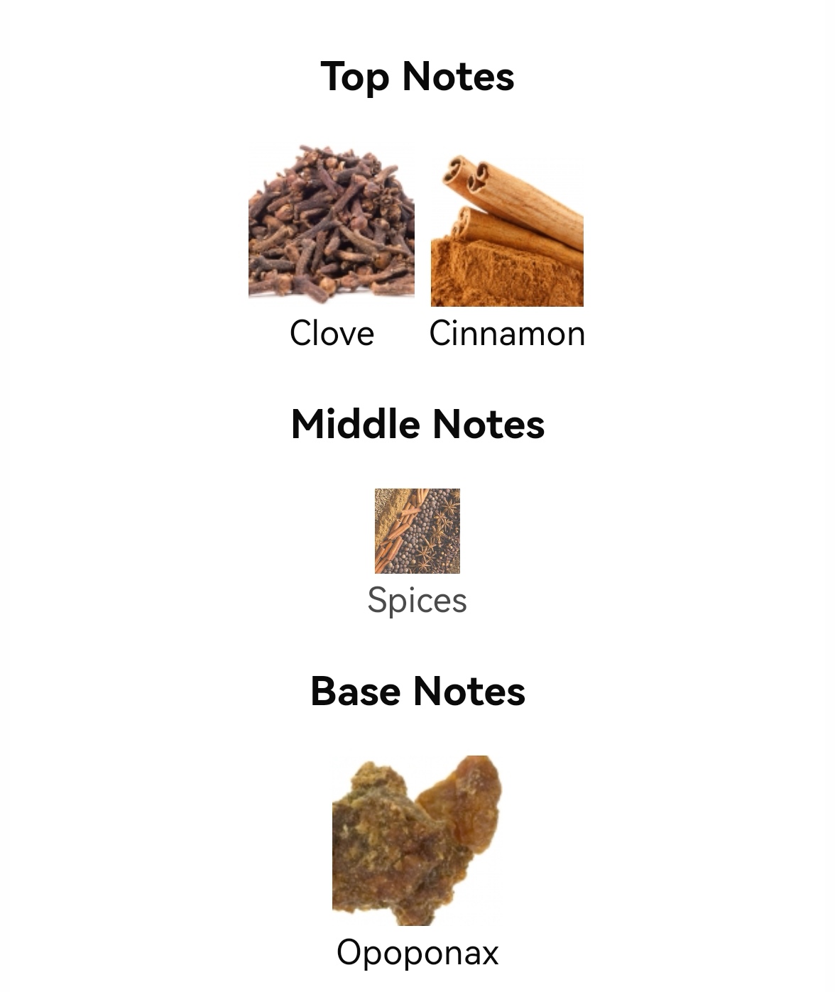 น้ำหอม DIPTYQUE EAU LENTE EDT