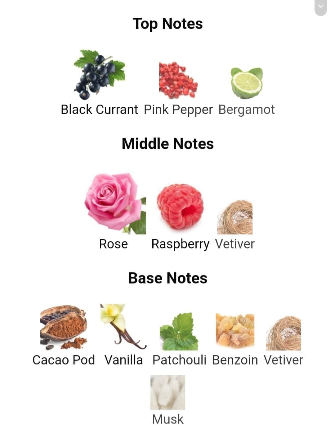 น้ำหอม Van Cleef & Arpels Rose Rouge EDP 100 ml.