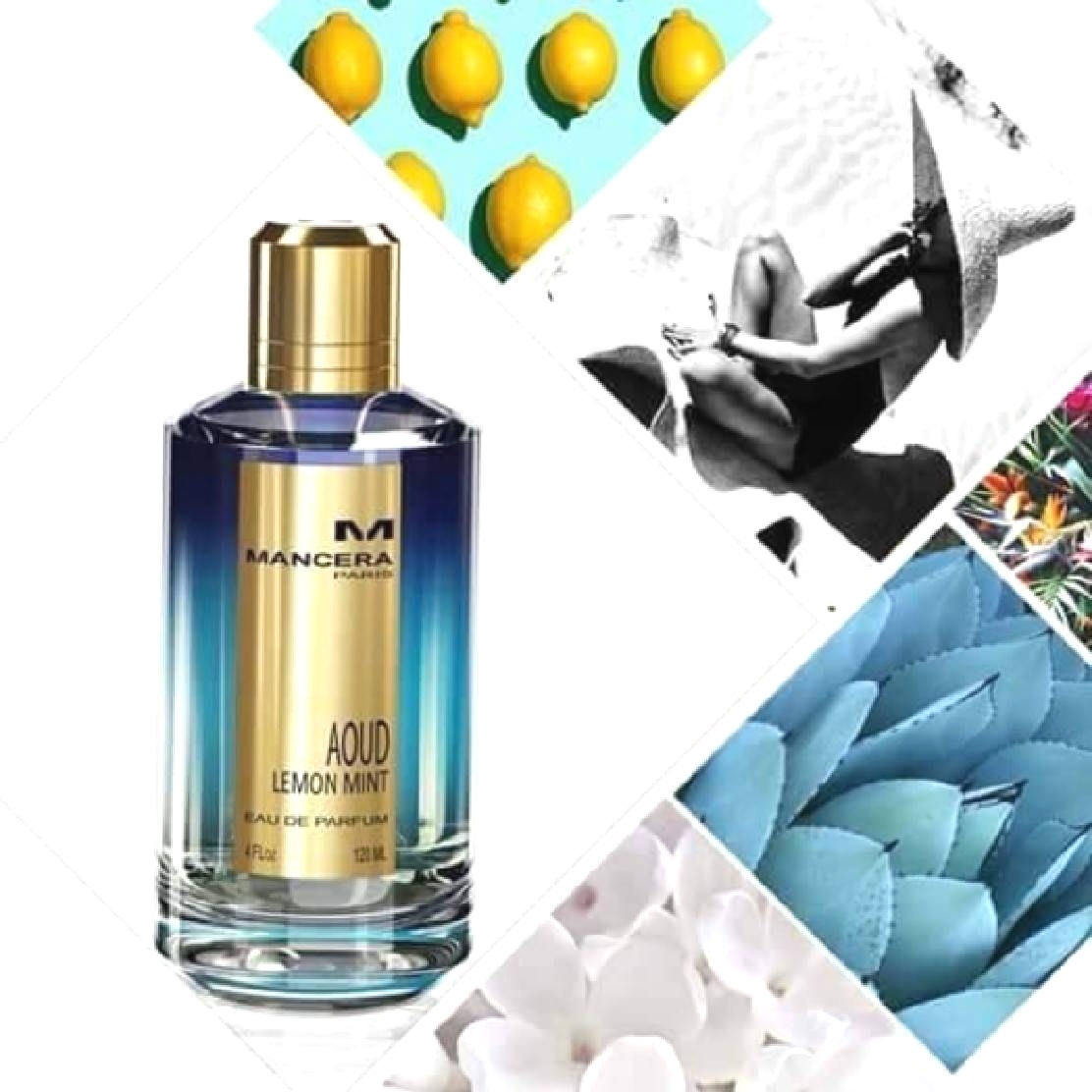 น้ำหอม MANCERA AOUD LEMON MINT EDP 120ML.
