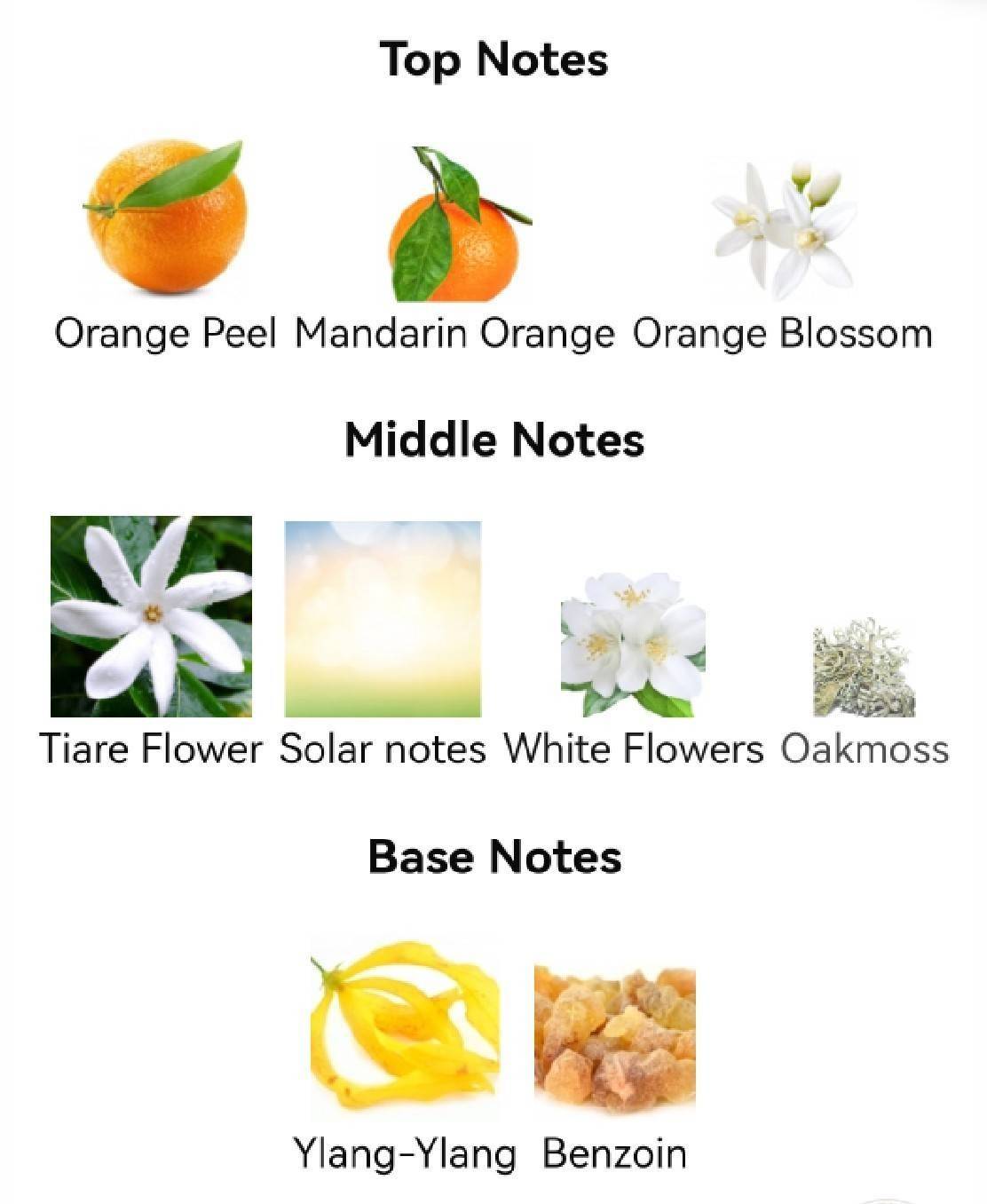 น้ำหอม Paco Rabanne Olympea Solar EDP