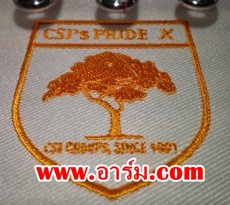 ตัวอย่างอาร์ม CSI's PRIDE