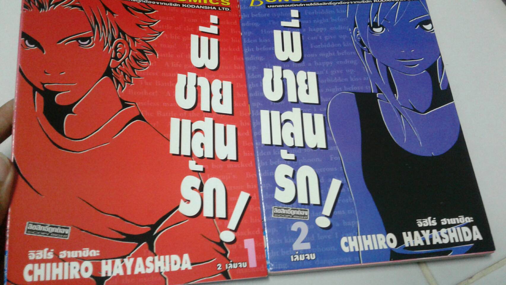 พี่ชายแสนรัก เล่ม 1-2 จบ