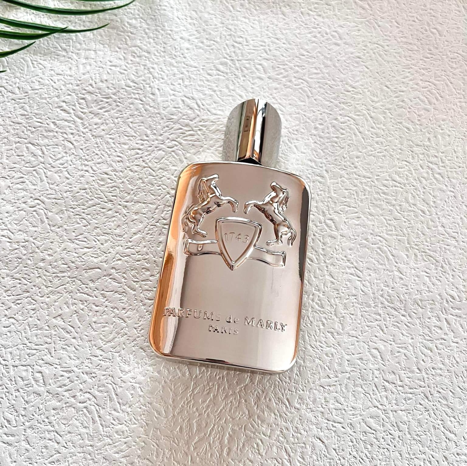 น้ำหอม PDM PEGASUS EDP 125ML