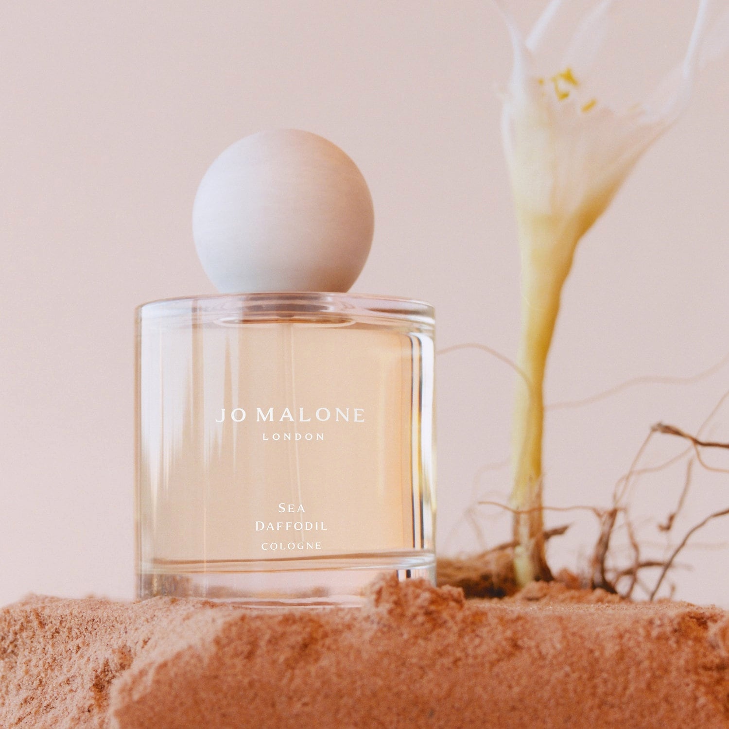 น้ำหอม Jo Malone Sea Dafodil Cologne 50 ml