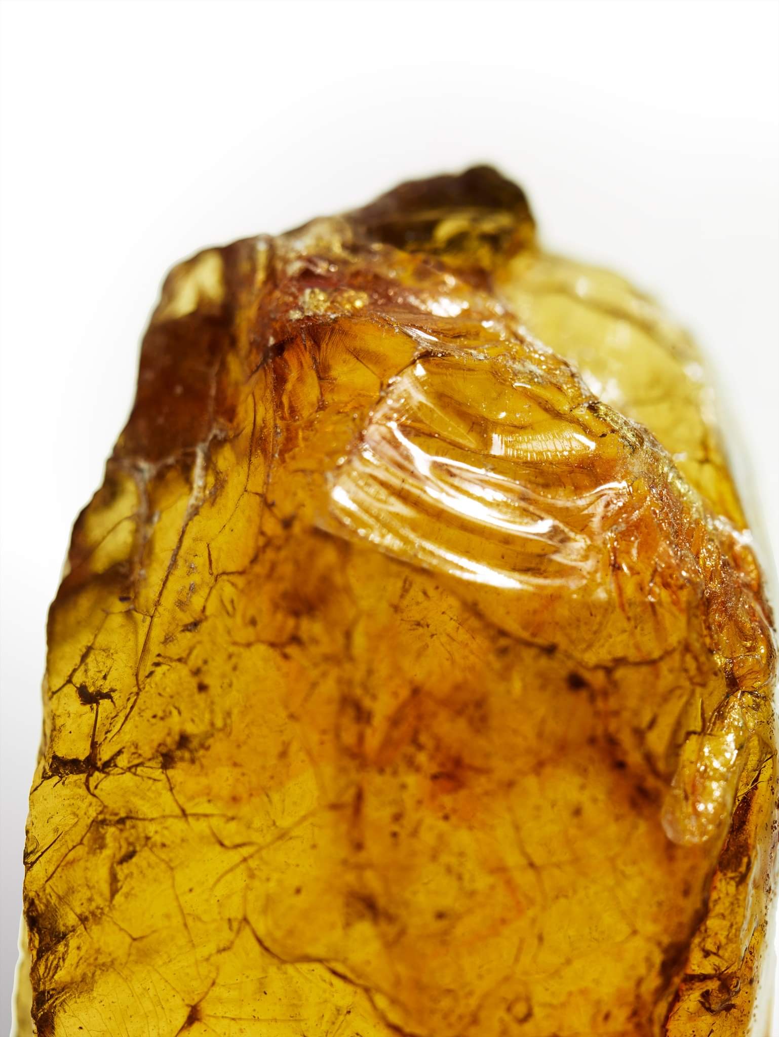 น้ำหอม Davidoff Cool Water Intense For Men EDP