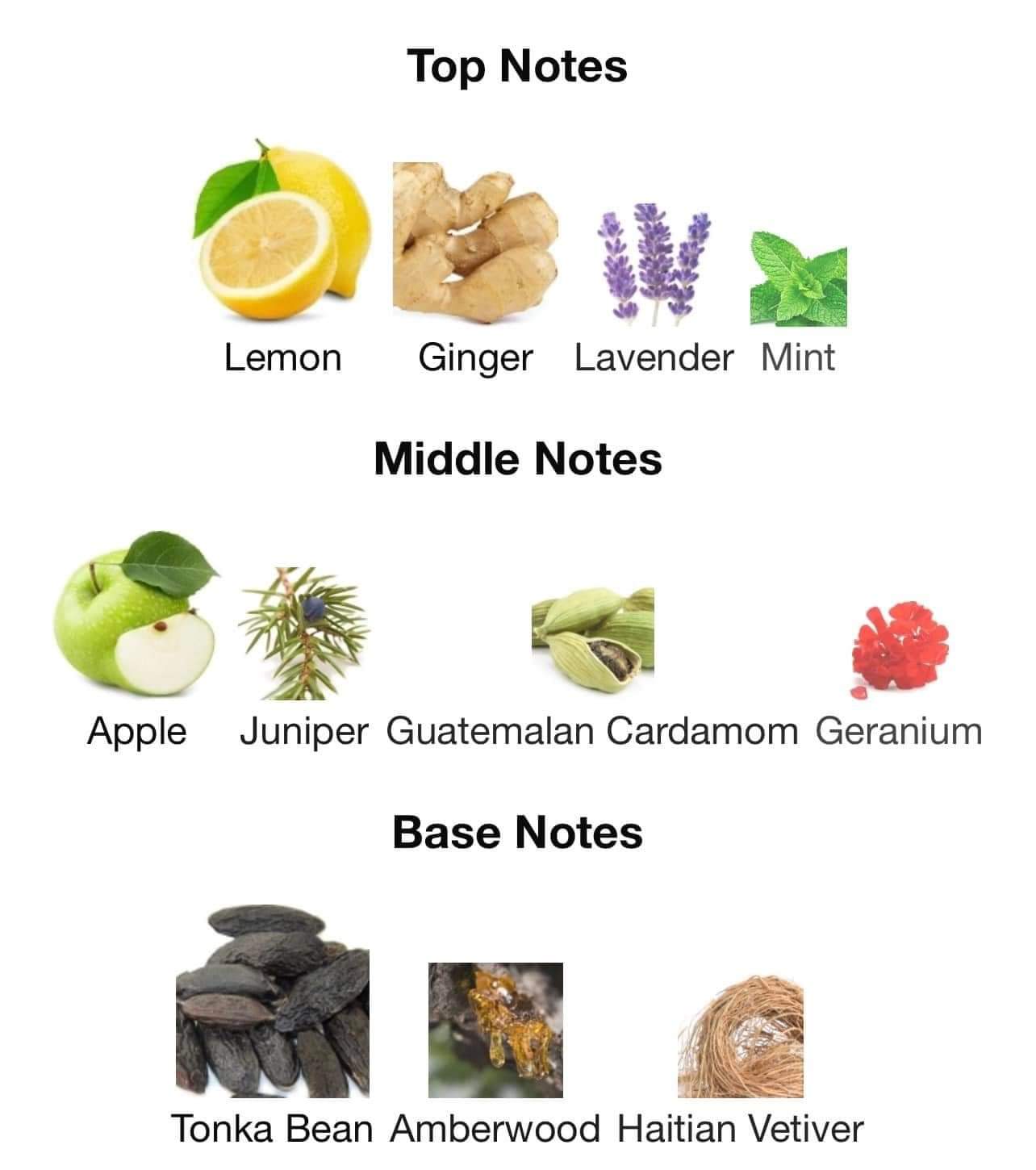 น้ำหอม Azzaro Wanted for Men EDT