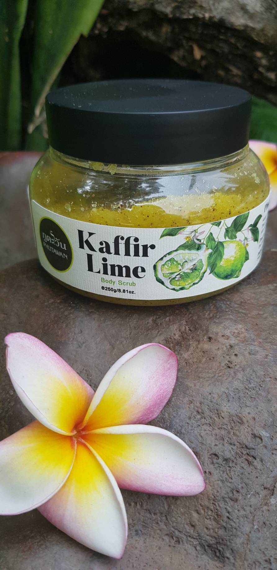 เกลือสปาขัดผิวกลิ่นมะกรูด ( เนื้อเกลือเม็ดละเอียดอยู่ในน้ำมันบริสุทธิ์จากธรรมชาติ เป็นผลิตภัณฑ์ที่ทำจากธรรมชาติ 100%) น้ำหนักสุทธิ 150 และ 465 กรัม