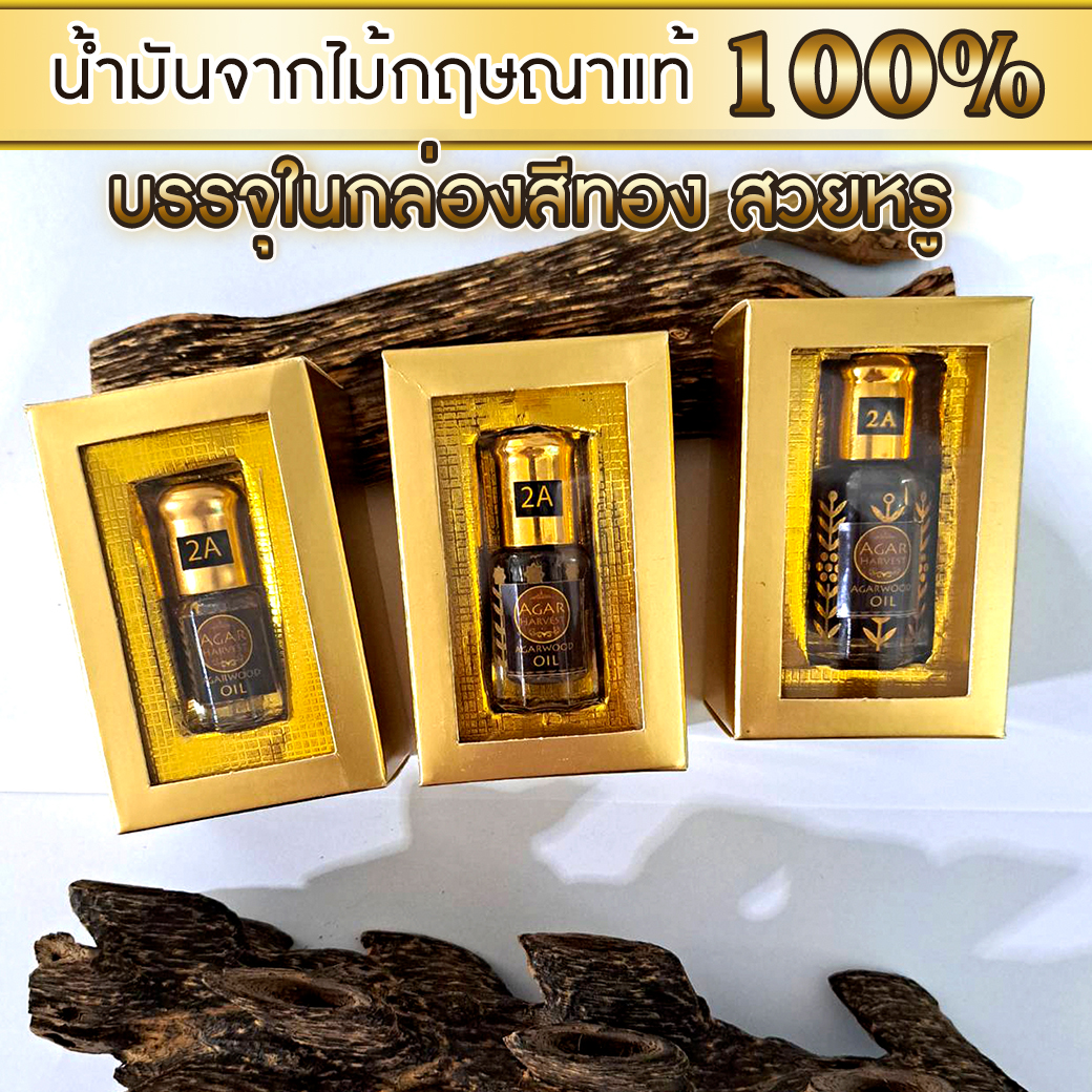 AgarHarvest ไม้หอม อโรมา ไม้หอมมงคล ปรับอากาศ น้ำมันกฤษณา แท้ ในกล่องทองสวยหรู Agarwood Oil (Medium Grade 2A หอมปานกลาง)