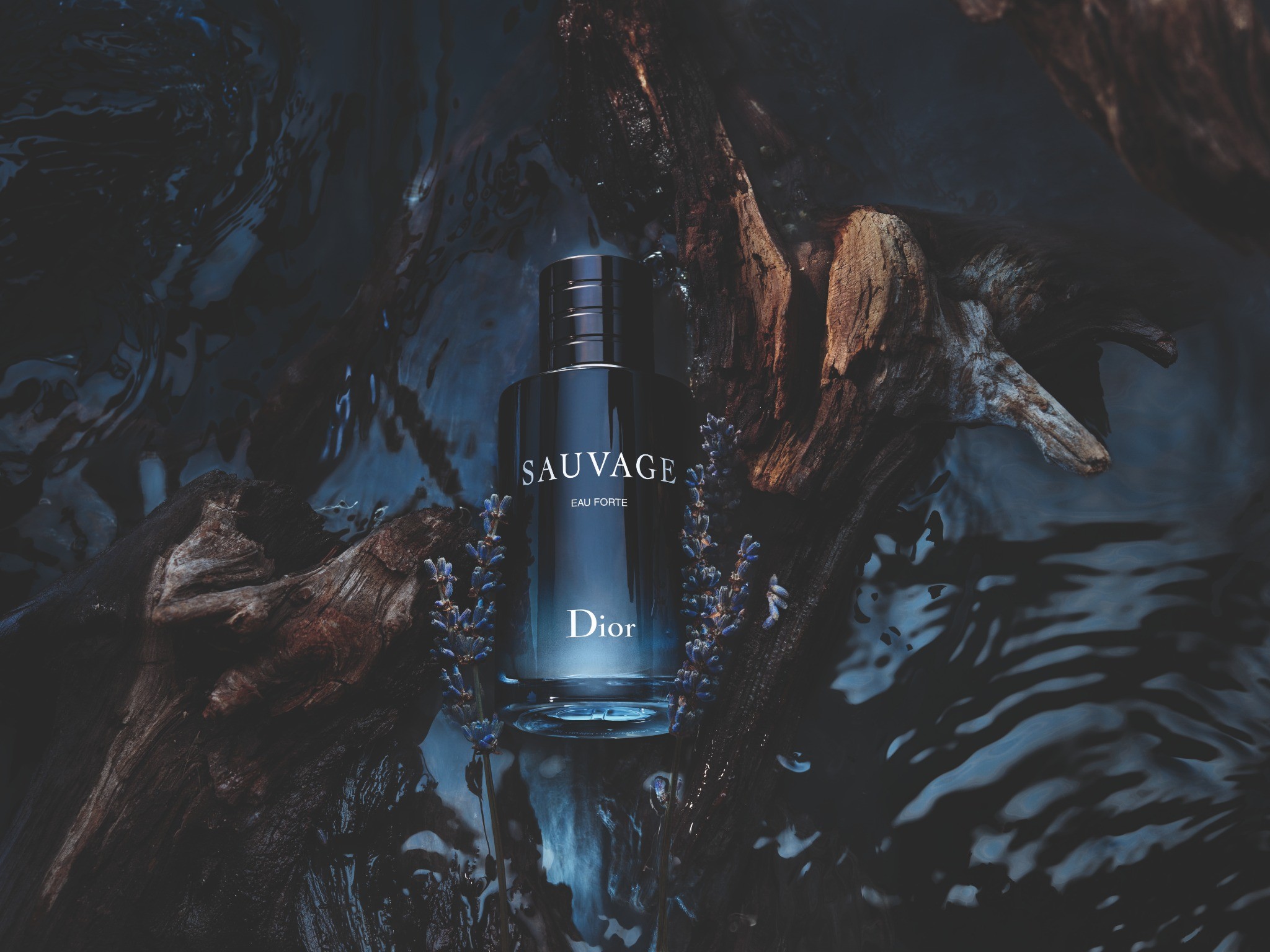 น้ำหอม Dior Sauvage Eau Forte Parfum