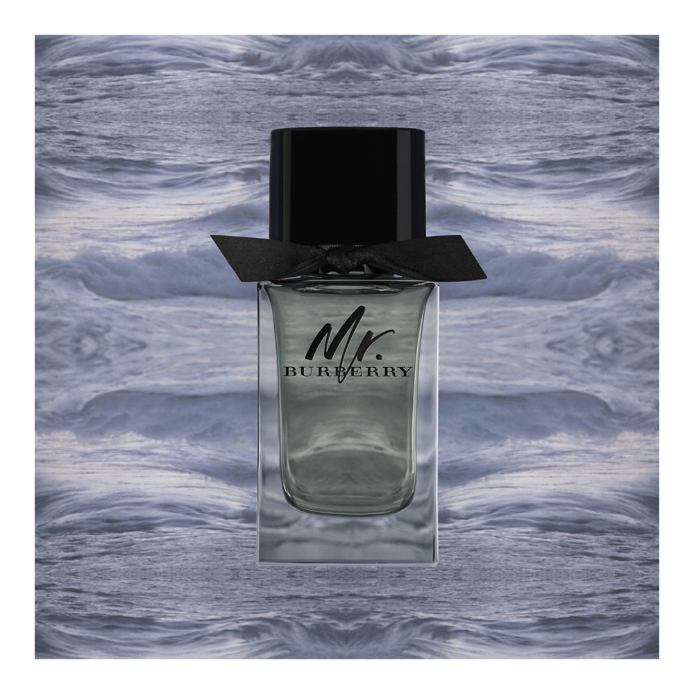น้ำหอม Burberry Mr.Burberry EDT 100ml