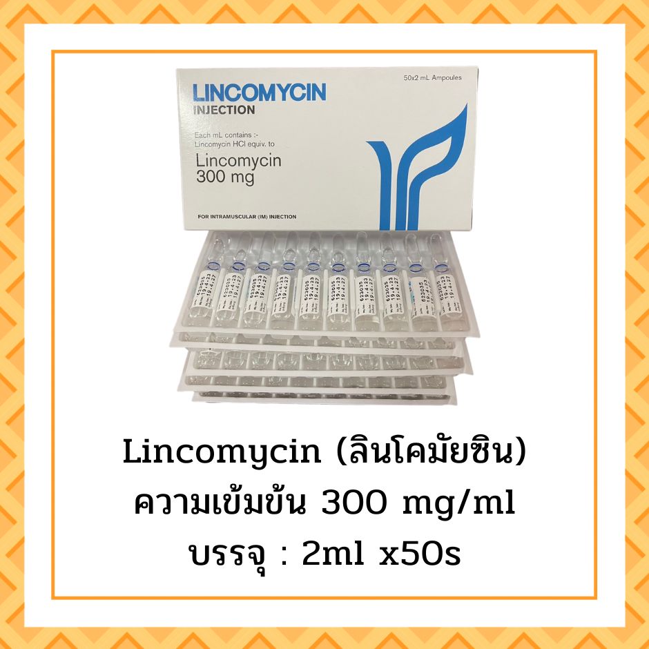Lincomycin