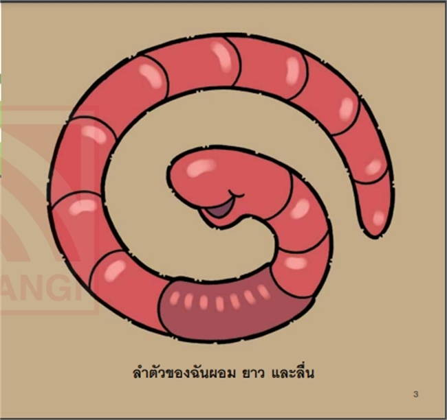 Pelangi นิทานเด็ก ชุดนิทาน Hello Animal ปกอ่อน หนังสือนิทานสองภาษา (ไทย-อังกฤษ)