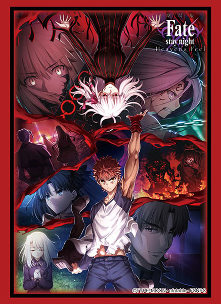 Bushiroad Sleeve Collection HG Vol.2769 - "Fate/stay night [Heaven's Feel]" Chapter 3 Vol.2 Key Visual
