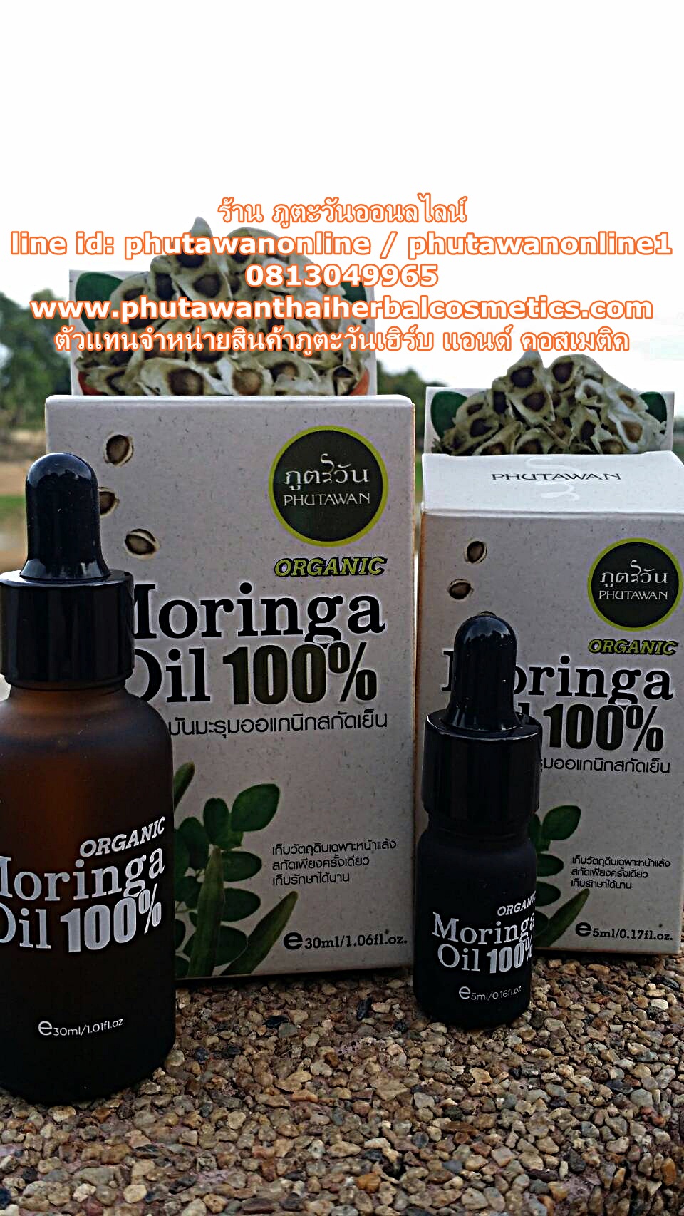 น้ำมันมะรุม ออร์แกนิค 100% Organic Moringa Oil ขนาด 30 ml