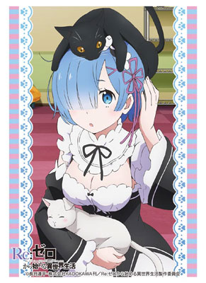 Bushiroad Sleeve Collection HG Vol.1078 - Re:Zero Kara Hajimeru Isekai Seikatsu [Rem]