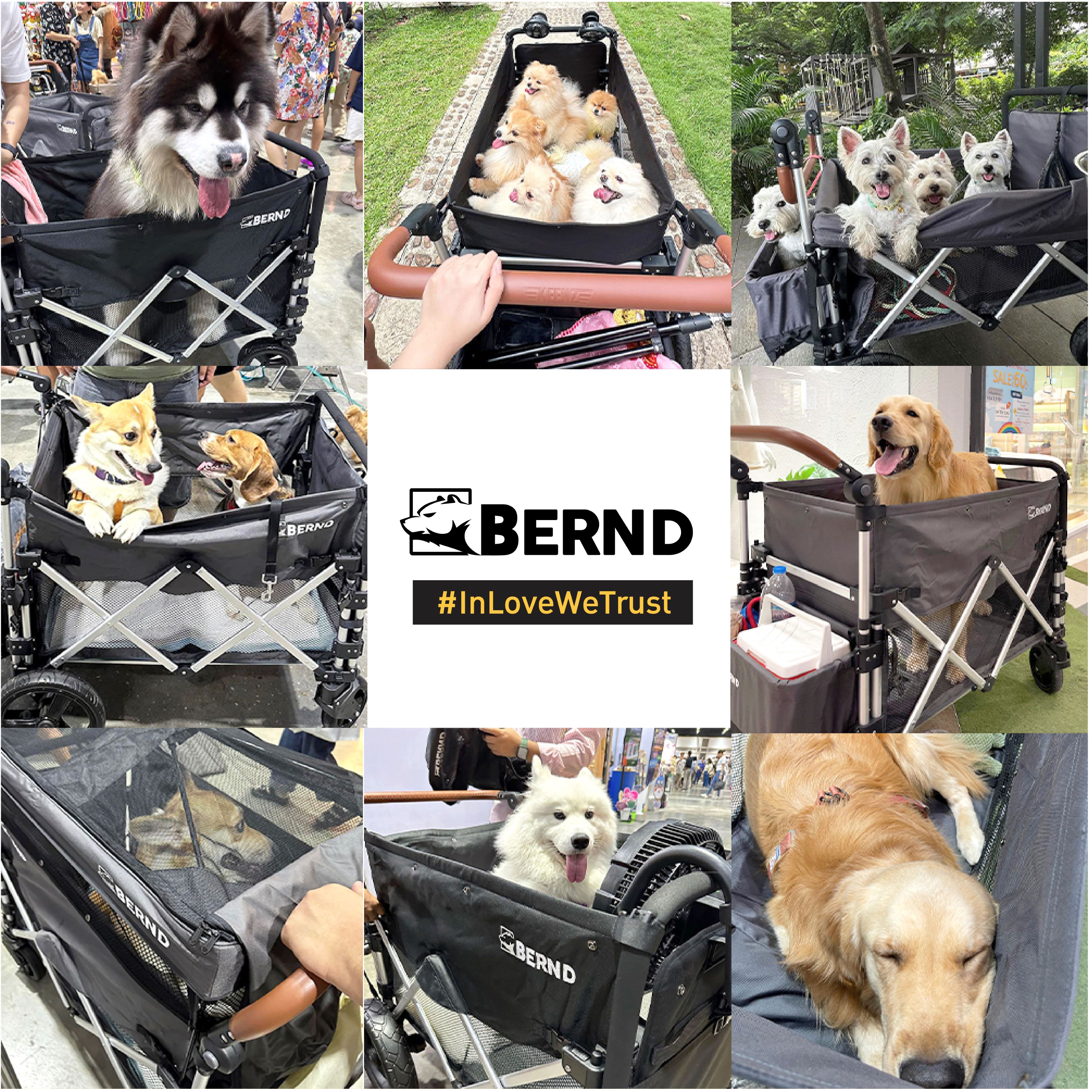 BERND รุ่น Bloom Pet รถเข็นสำหรับสัตว์เลี้ยง รับน้ำหนักได้สูงสุด 100kg.
