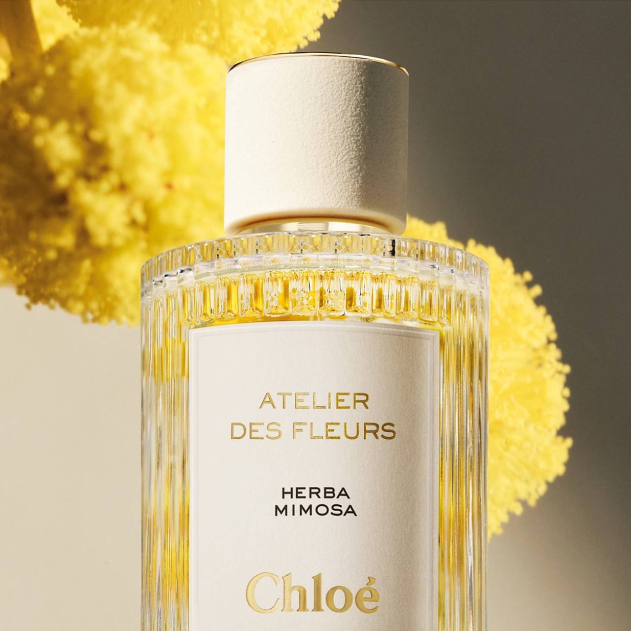 น้ำหอม Chloe Atelier des Fleur Herba Mimosa