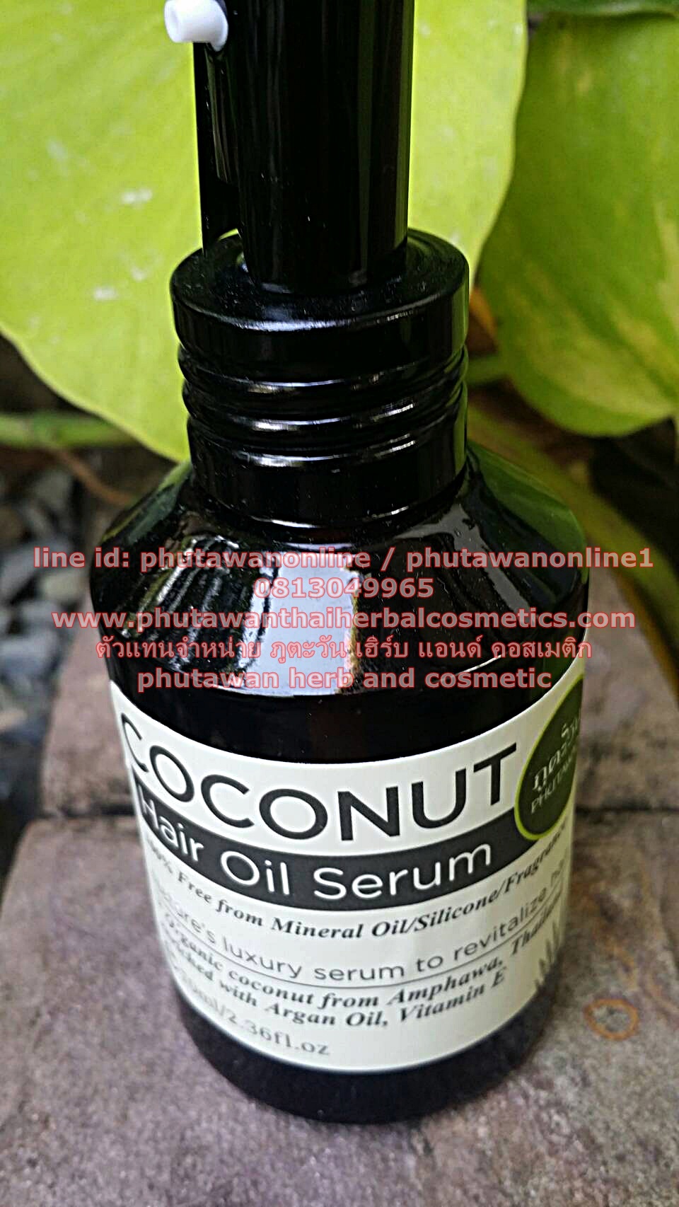 เซรั่มบำรุงผม มะพร้าว Coconut Hair Oil Serum