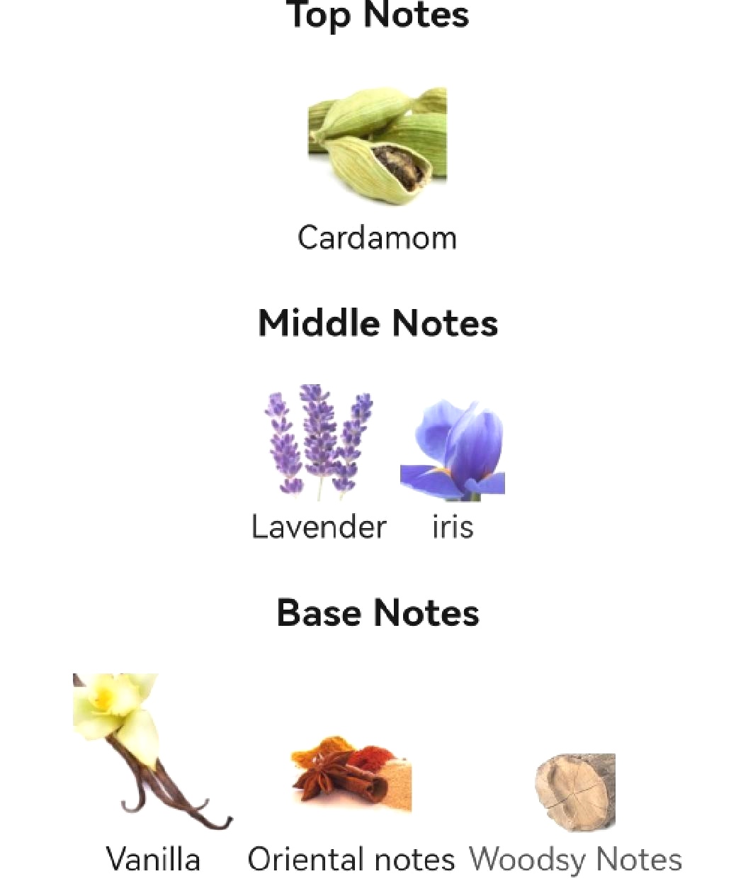 น้ำหอม Jean Paul Gaultier Le Male Le Parfum 125ml