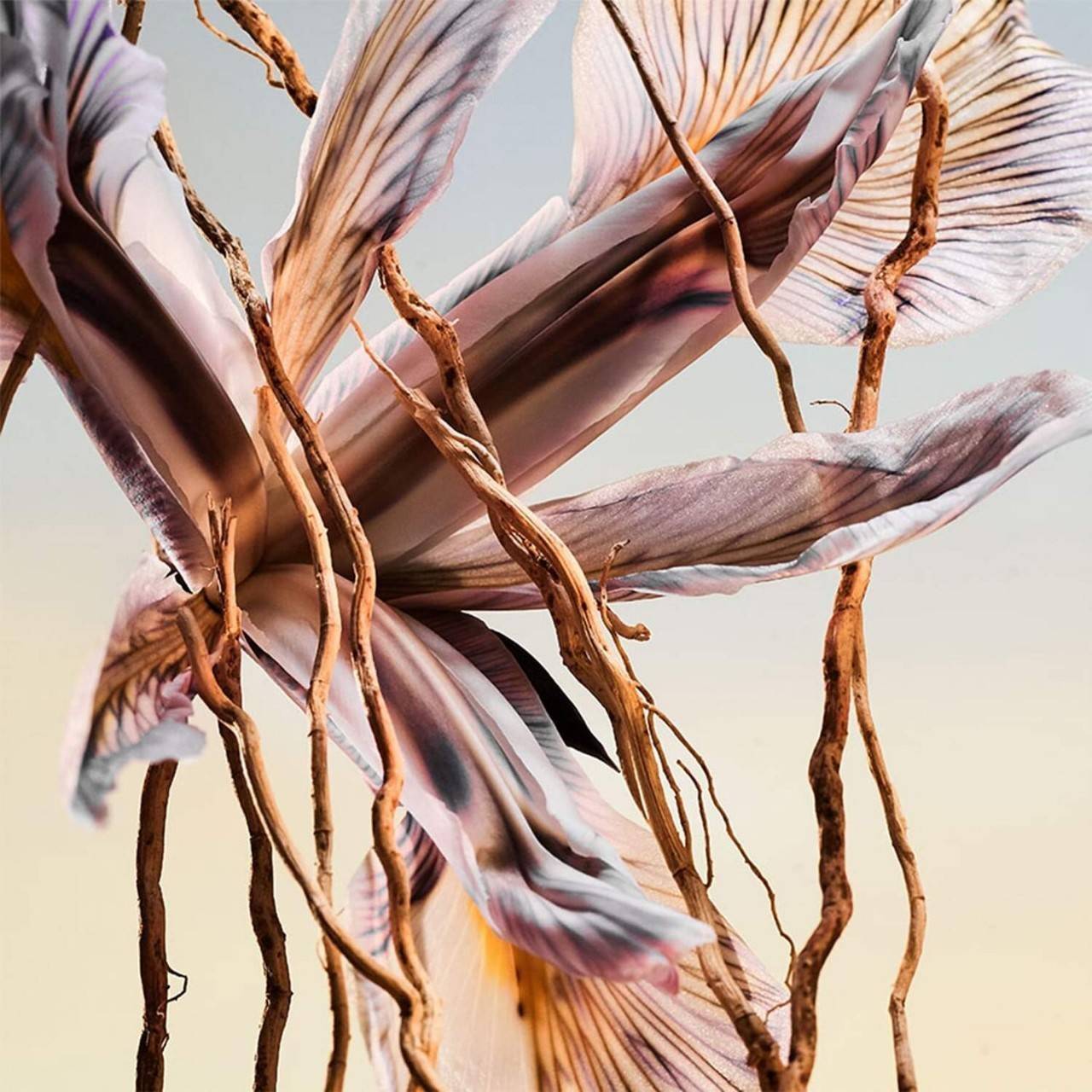 น้ำหอม Bvlgari Man Terrae Essence EDP