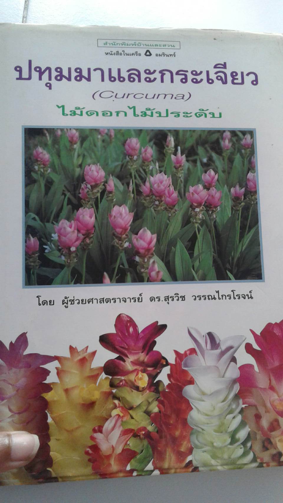 ประทุมมาและกระเจียว ไม่ดอกไม้ประดับ