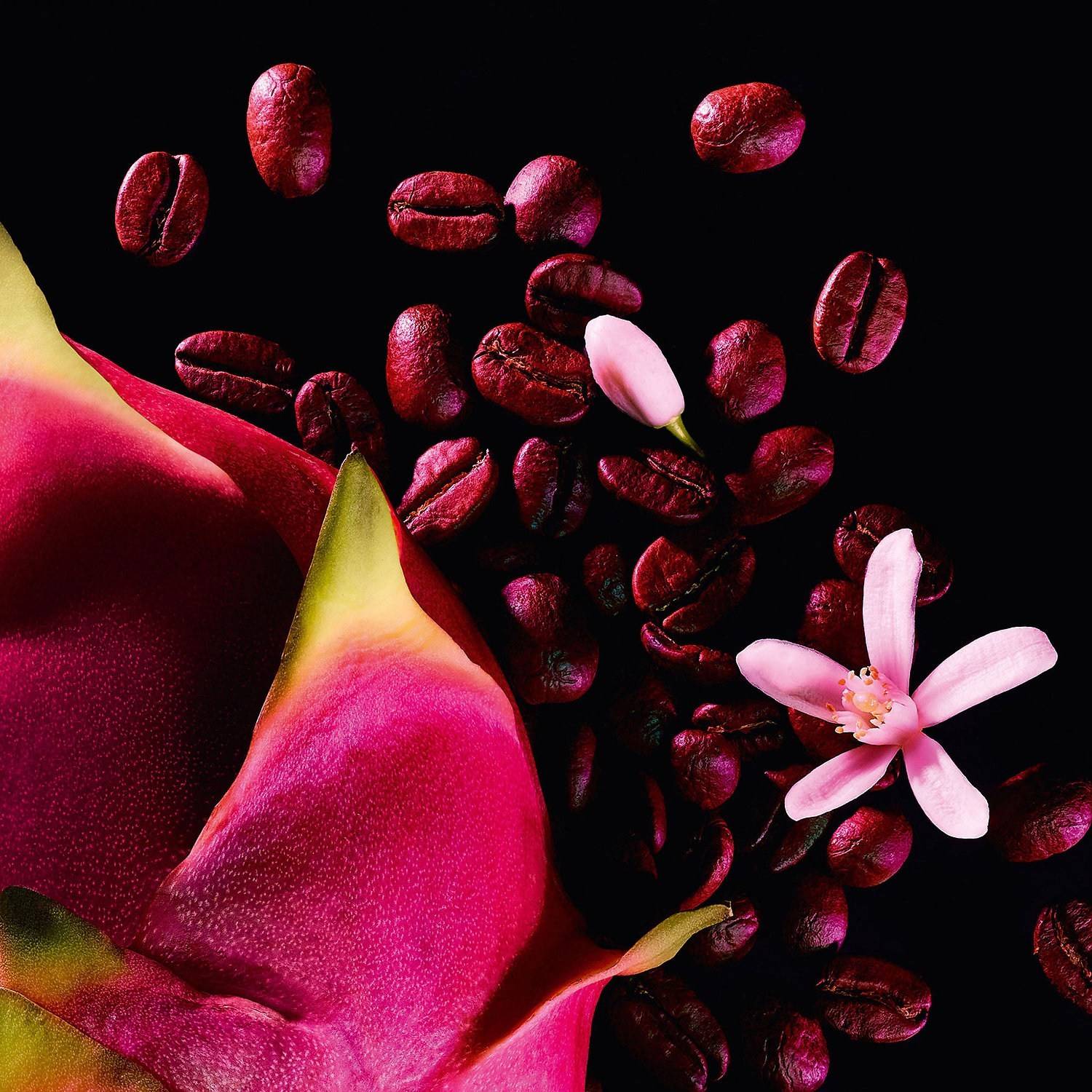 น้ำหอม YSL Black Opium Neon Limited Edition EDP 75ml