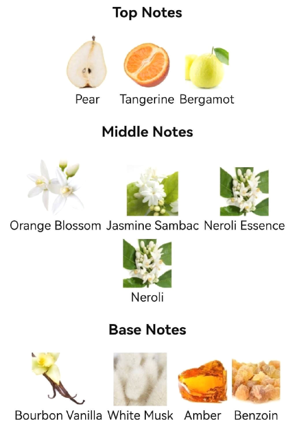 น้ำหอม Prada Paradoxe EDP 90ml