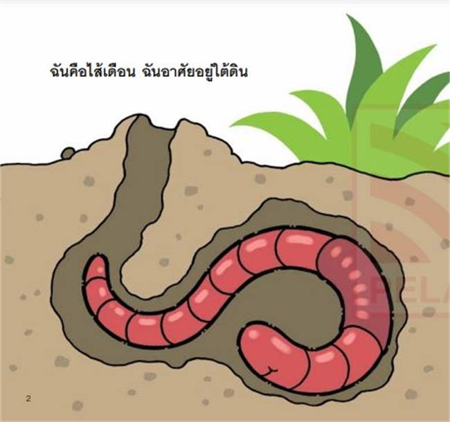 Pelangi นิทานเด็ก ชุดนิทาน Hello Animal ปกอ่อน หนังสือนิทานสองภาษา (ไทย-อังกฤษ)