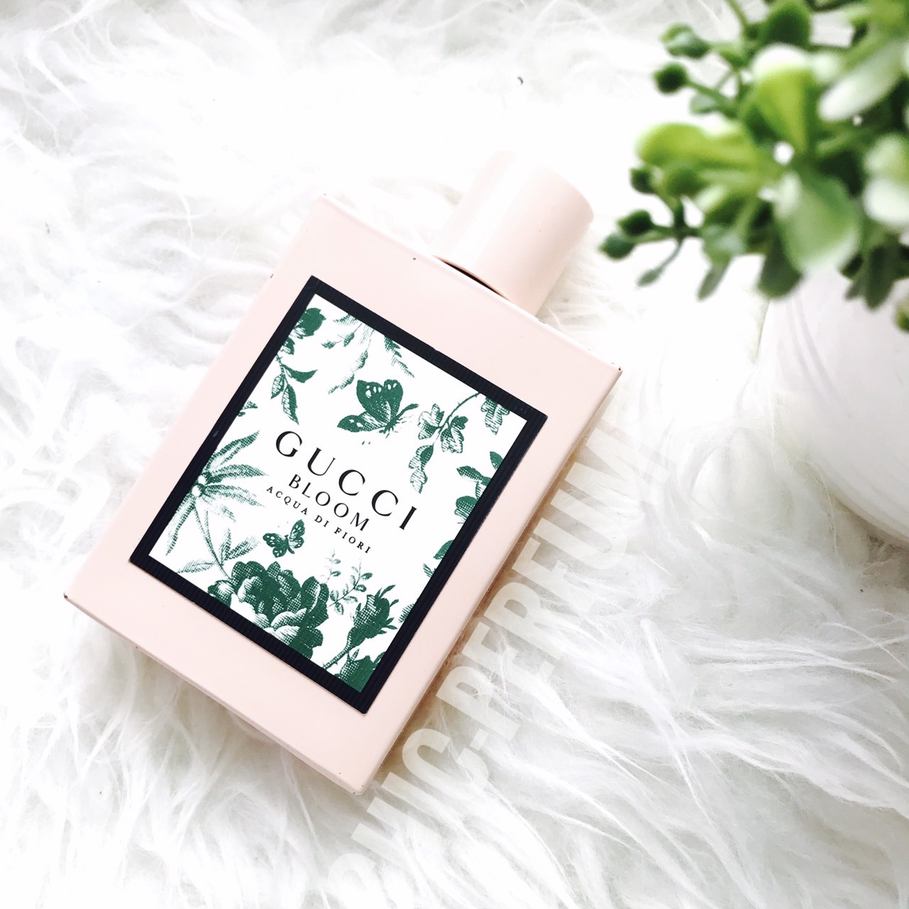 น้ำหอม Gucci Bloom Acqua di Fiori EDT 100ml.