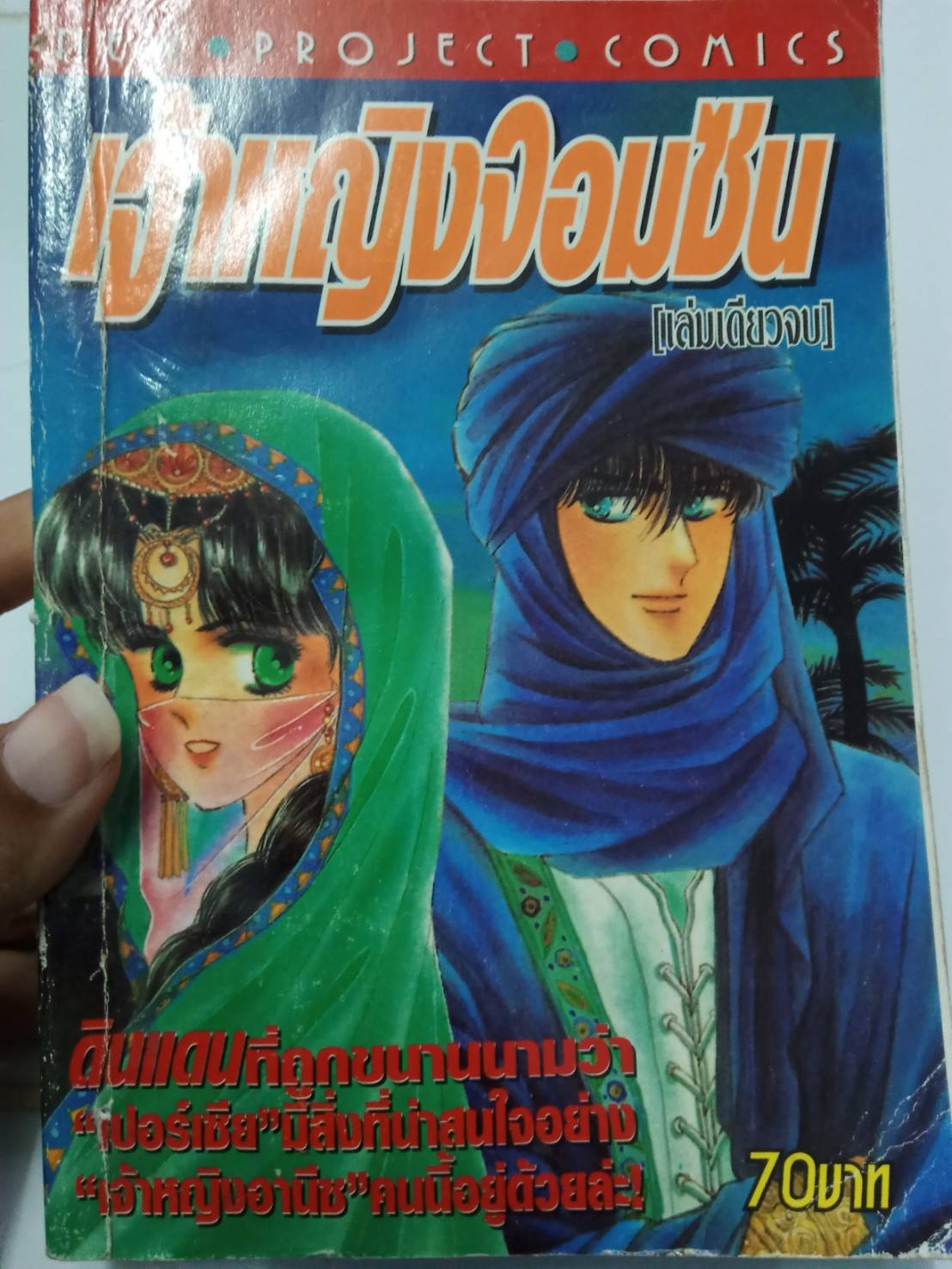 เจ้าหญิงจอมซน เล่มเดียวจบ