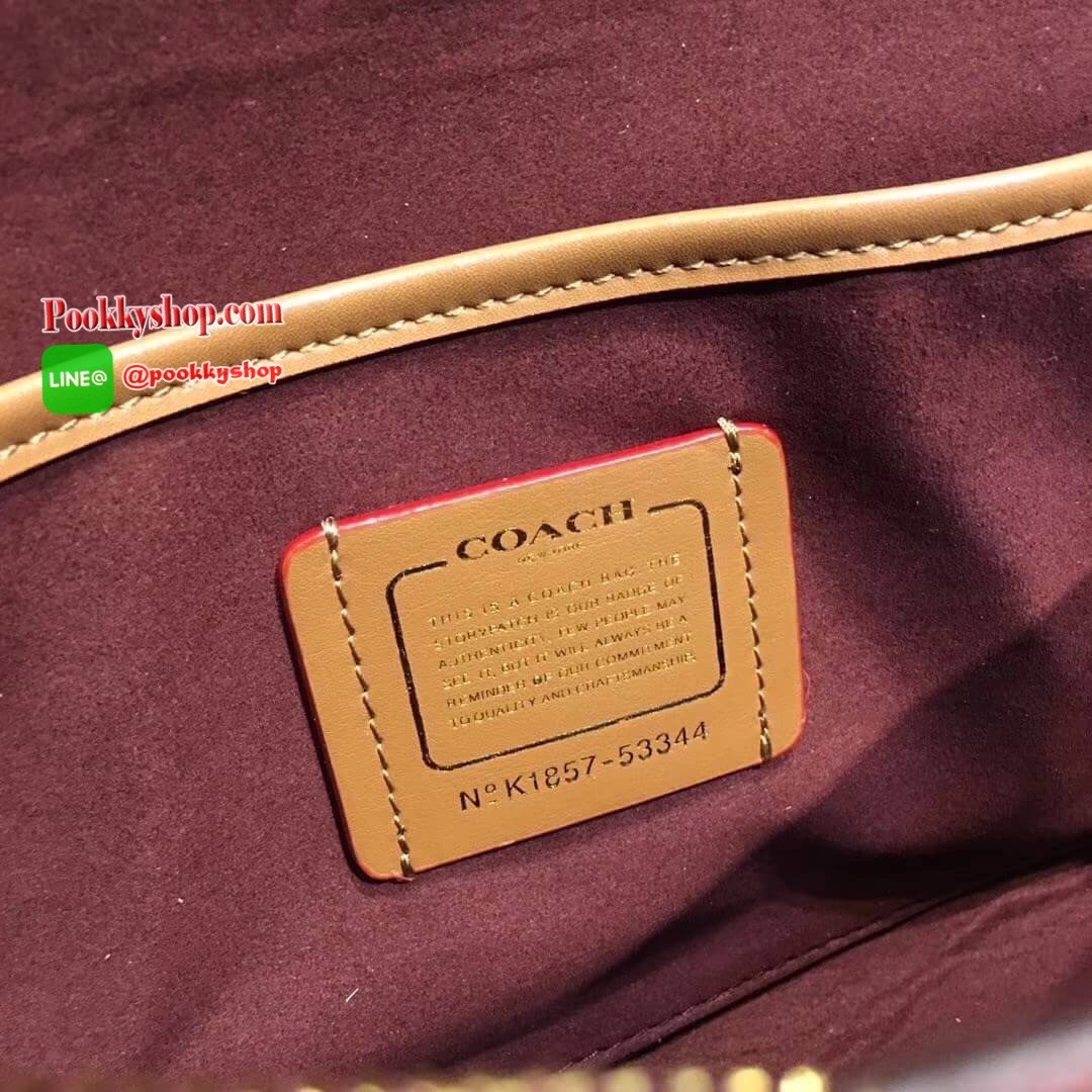 COACH WOMENS PARKER BAG