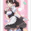 Bushiroad Sleeve Collection HG Vol.1325 - Saekano: How to Raise a Boring Girlfriend Flat [Megumi Kato] Part.4
