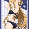 Bushiroad Sleeve Collection HG Vol.2610 - Sword Art Online Alicization "Asuna Yuuki" Swimsuit (Black) ver.
