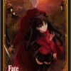 Bushiroad Sleeve Collection HG Vol.777 - Fate/stay night Unlimited Blade Works [Tohsaka & Archer]