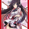 Bushiroad HG Sleeve Vol.644 - Infinite Stratos [Houki Shinonono]
