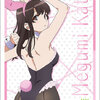 Bushiroad Sleeve Collection HG Vol.2154 - Saekano: How to Raise a Boring Girlfriend Flat "Megumi Kato" Part.6