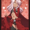 Bushiroad Sleeve Collection HG Vol.764 - Fate/keleid liner 2wei! [Kuro]