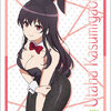 Bushiroad Sleeve Collection HG Vol.2156 - Saekano: How to Raise a Boring Girlfriend Flat "Utaha Kasumigaoka"