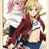 Bushiroad Sleeve Collection HG Vol.1566 - Fate/Apocrypha "Saber of Red & Rider of Black"