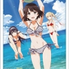 Bushiroad Sleeve Collection HG Vol.1304 - Saekano: How to Raise a Boring Girlfriend Flat [Part.2]