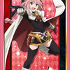 Bushiroad Sleeve Collection HG Vol.1508 - Fate/Apocrypha "Rider of Black"