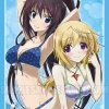 Bushiroad Sleeve Limited - IS Infinite Stratos [Houki&Charlotte]