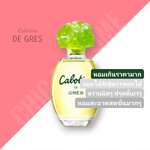 น้ำหอม Cabotine de Gres 100ml