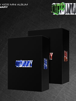 Stray Kids Album - ODDINARY RANDOM Ver. (Standard Ver)