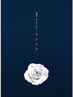BAP 6TH SINGLE ALBUM - ROSE (B VER)
