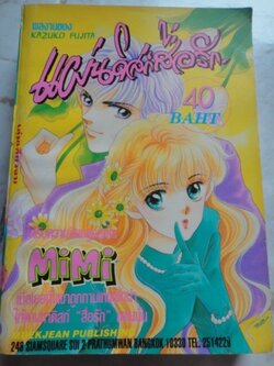 แผ่นดิสสื่อรัก เล่มเดียวจบ