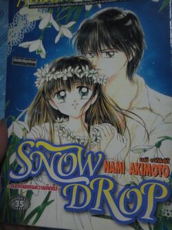 Snow Drop ดอกไม้แทนความคิดถึง เล่มเดียวจบ