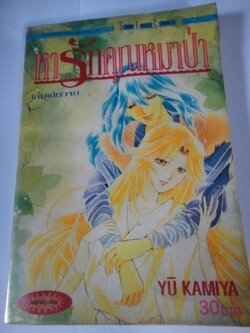 หารักคุณหมาป่า เล่มเดียวจบ