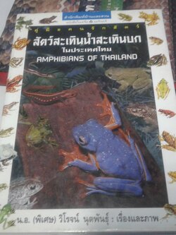 คู่มือคนรักสัตว์ สะเทินน้ำสะเทินบก